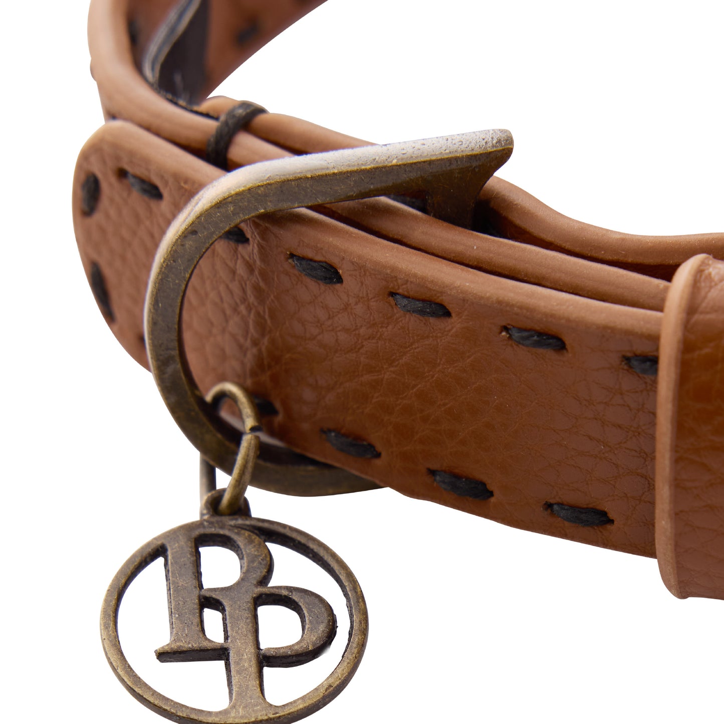 Close up of collar hardware and pet passion key chain on a white background