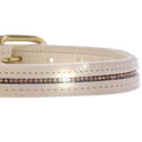 Beige dog collar with gold buckle and rhinestone detailing on a white background