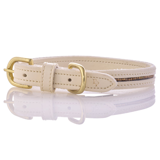 Beige leather dog collar with gold buckle on a white background