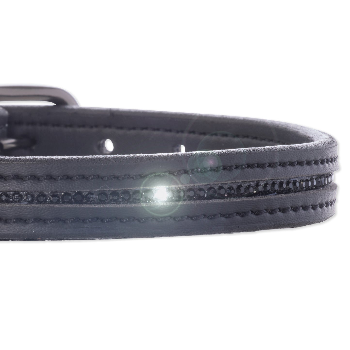Pet Passion Roxy crystal bling dog collar in Black Bling — sparkly rhinestone-embellished collar for small dogs and special occasions