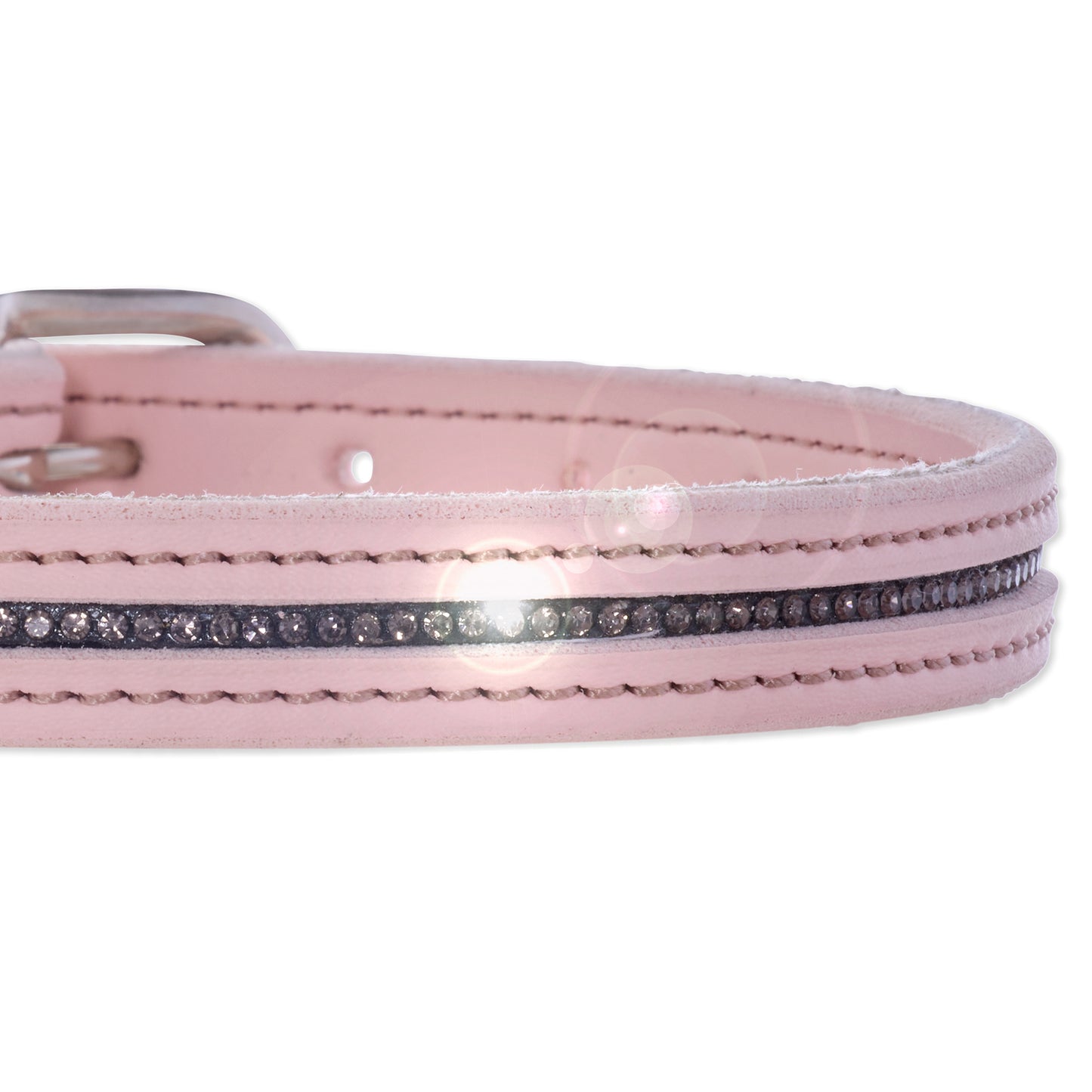 Pink dog collar with a decorative band on a white background