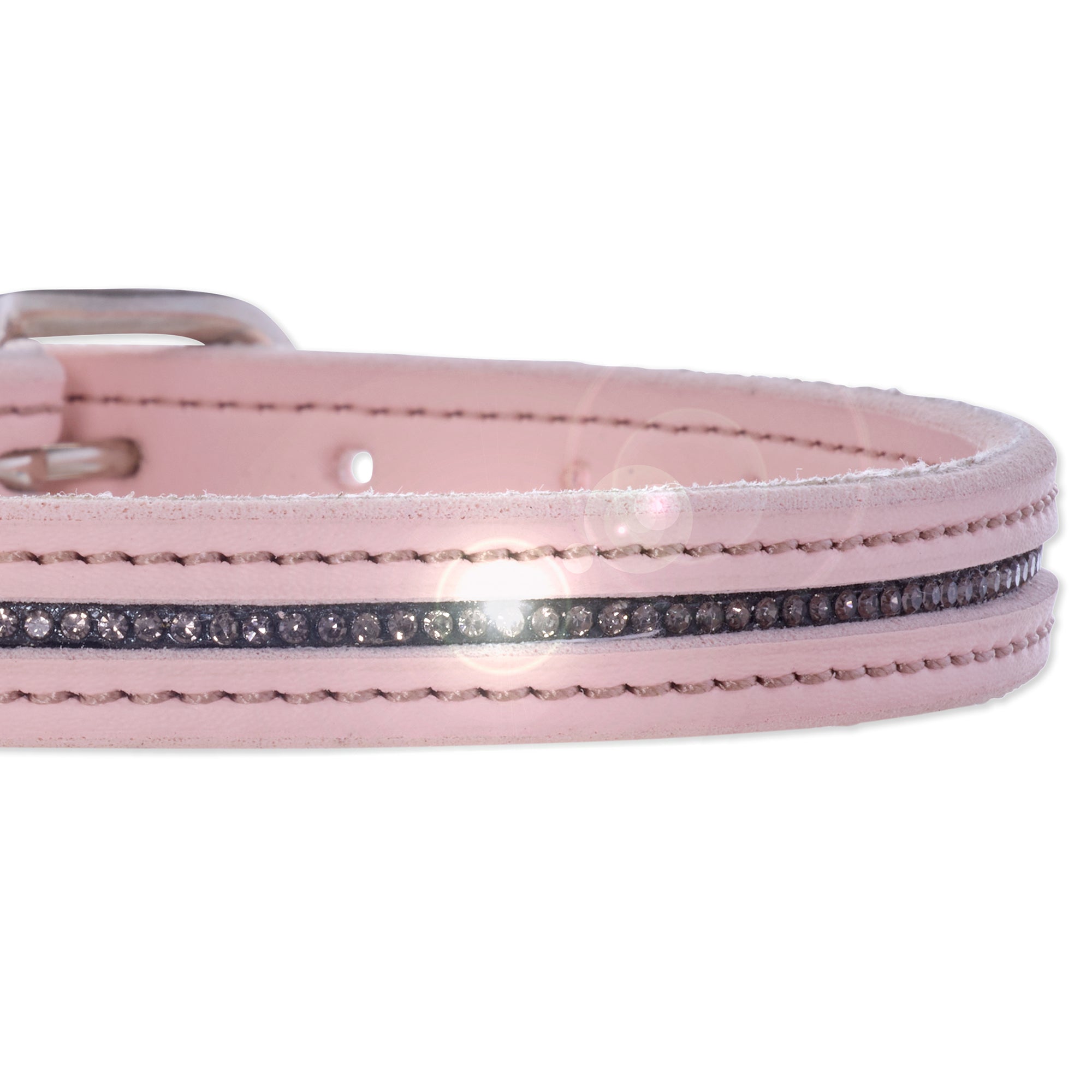 Pink dog collar with a decorative band on a white background