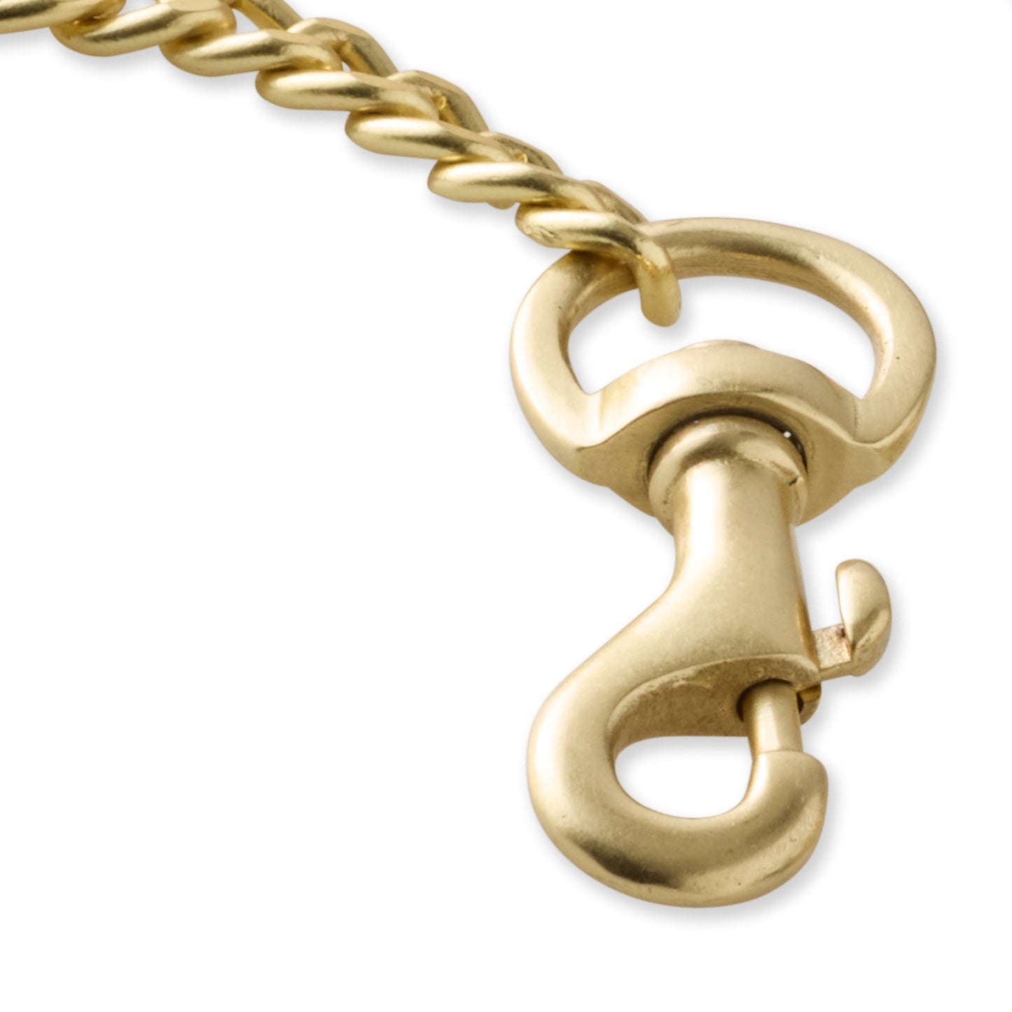 Close up of Leash clip hardware and links on a white background