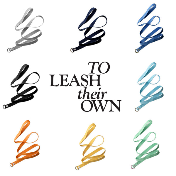 PARTY PUP SLIP LEASH, 8-PACK, RAINBOW BLUES