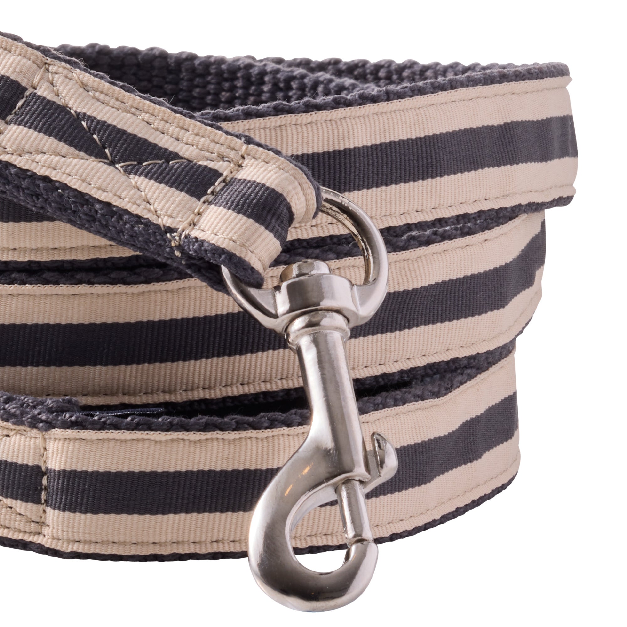Striped dog leash with metal clip on a white background