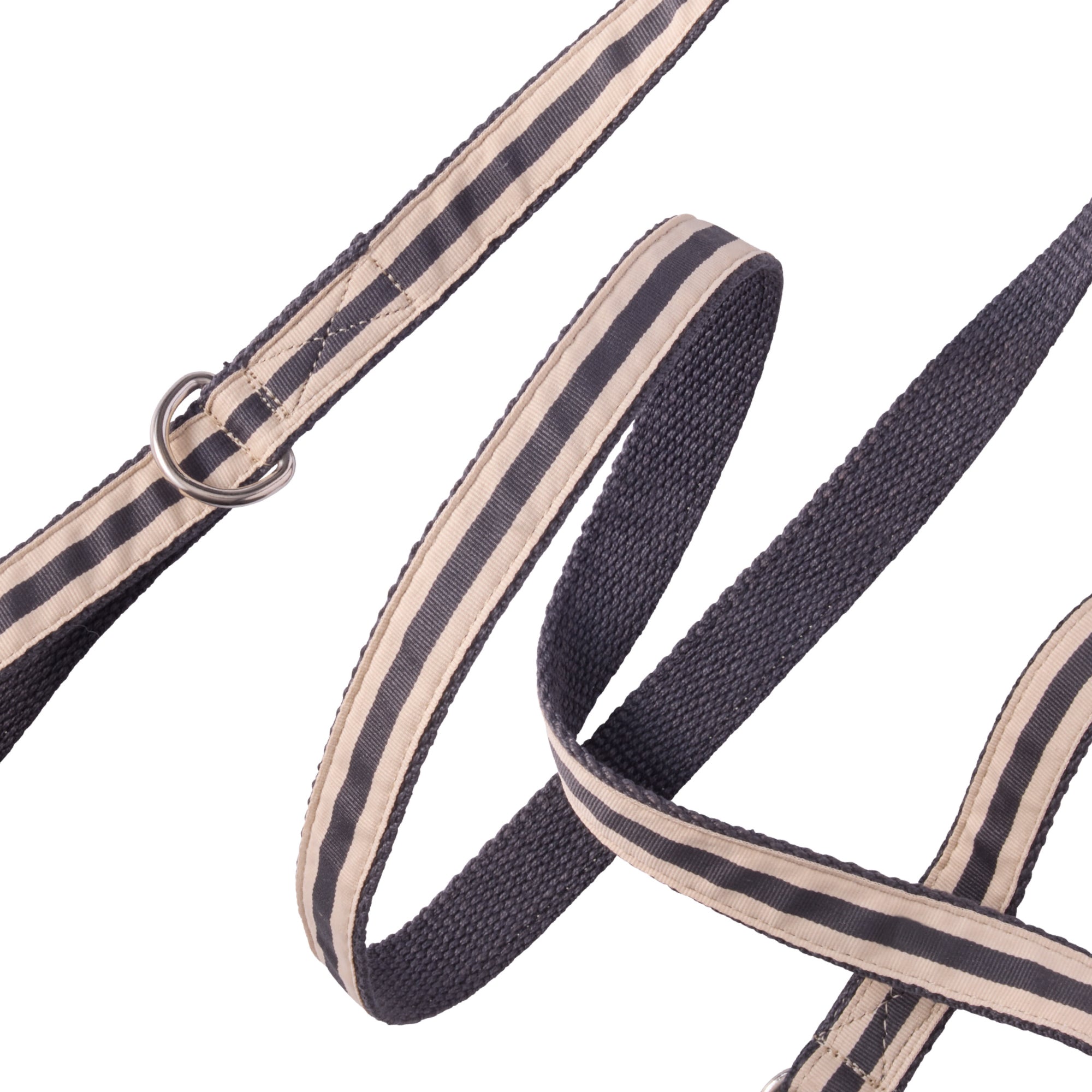 Navy and beige striped dog leash on a white background