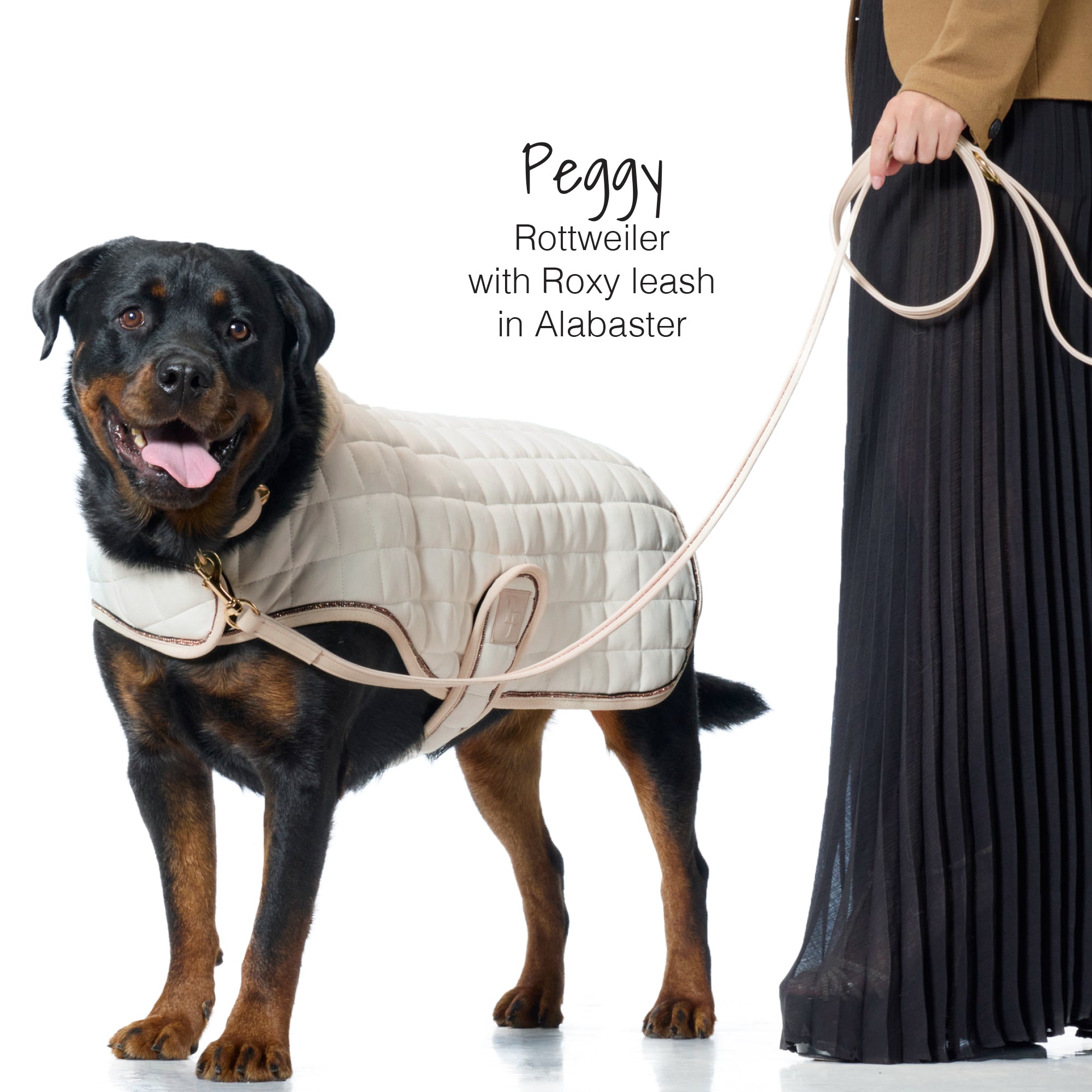 Dog wearing a quilted coat with a leash, standing next to a person holding the leash.