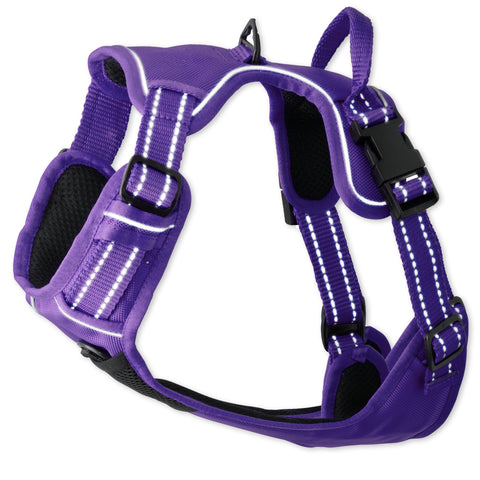 MAX- THE HARDY REFLECTIVE HARNESS , PURPLE
