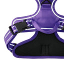 MAX- THE HARDY REFLECTIVE HARNESS , PURPLE