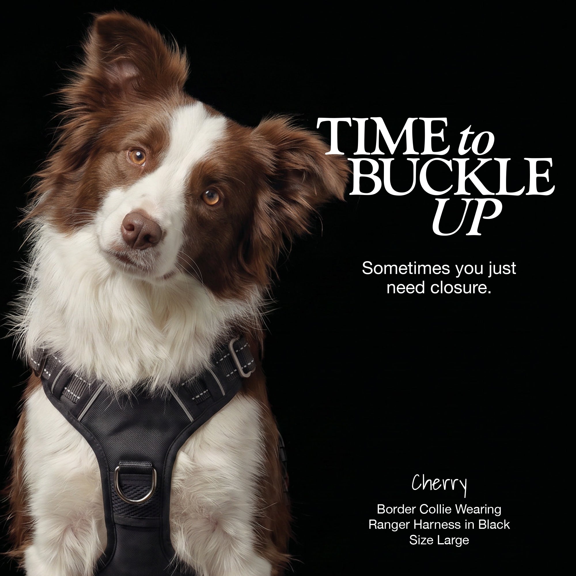 RANGER – THE PREMIUM HEAVY-DUTY REFLECTIVE HARNESS
