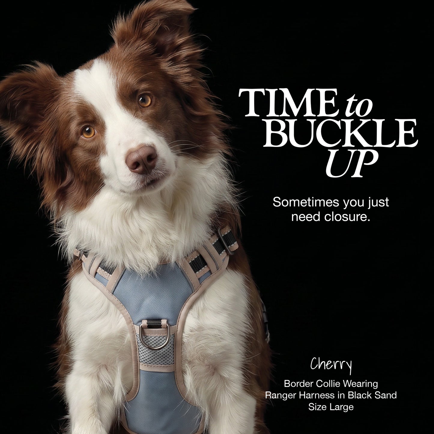 RANGER – THE PREMIUM HEAVY-DUTY REFLECTIVE HARNESS