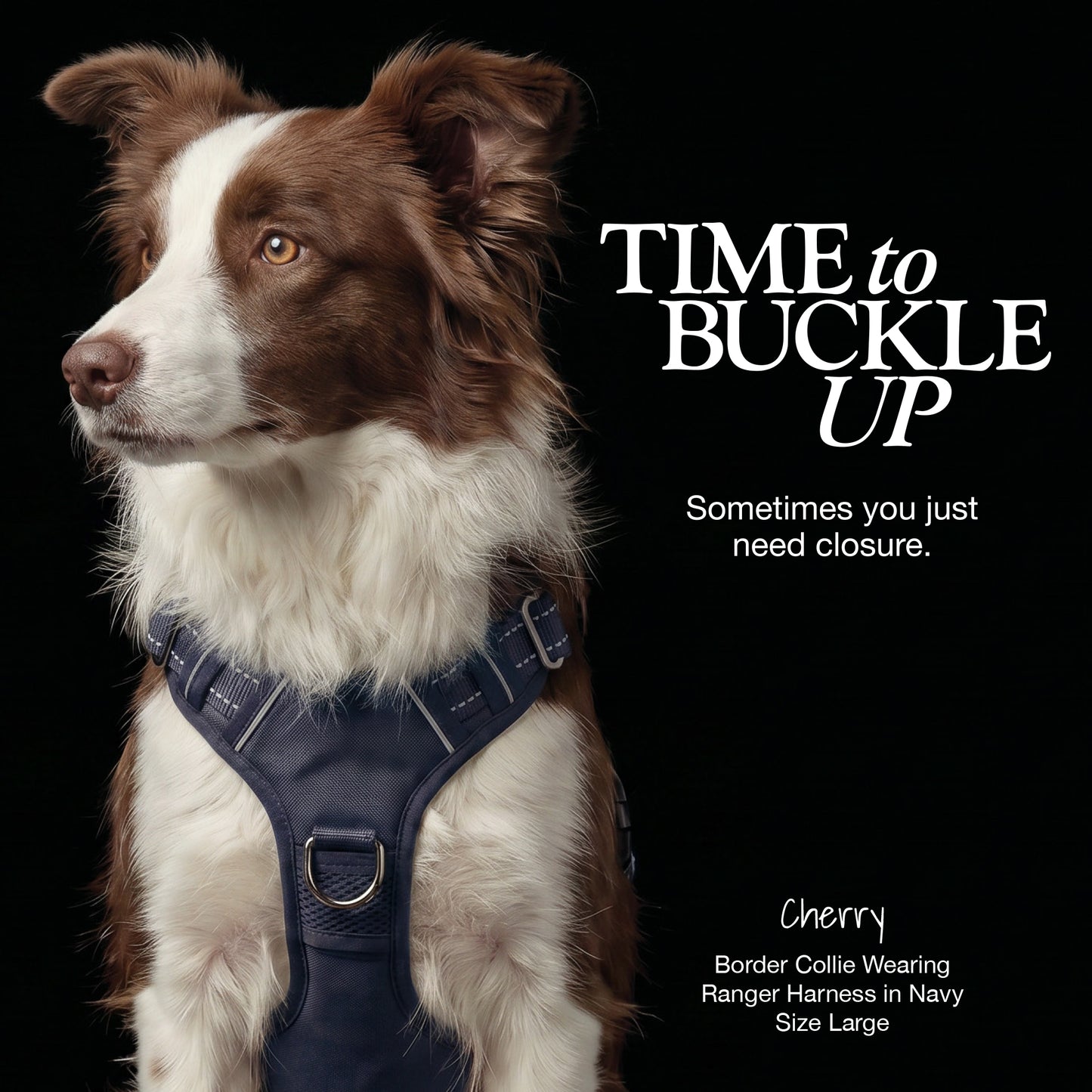 RANGER – THE PREMIUM HEAVY-DUTY REFLECTIVE HARNESS