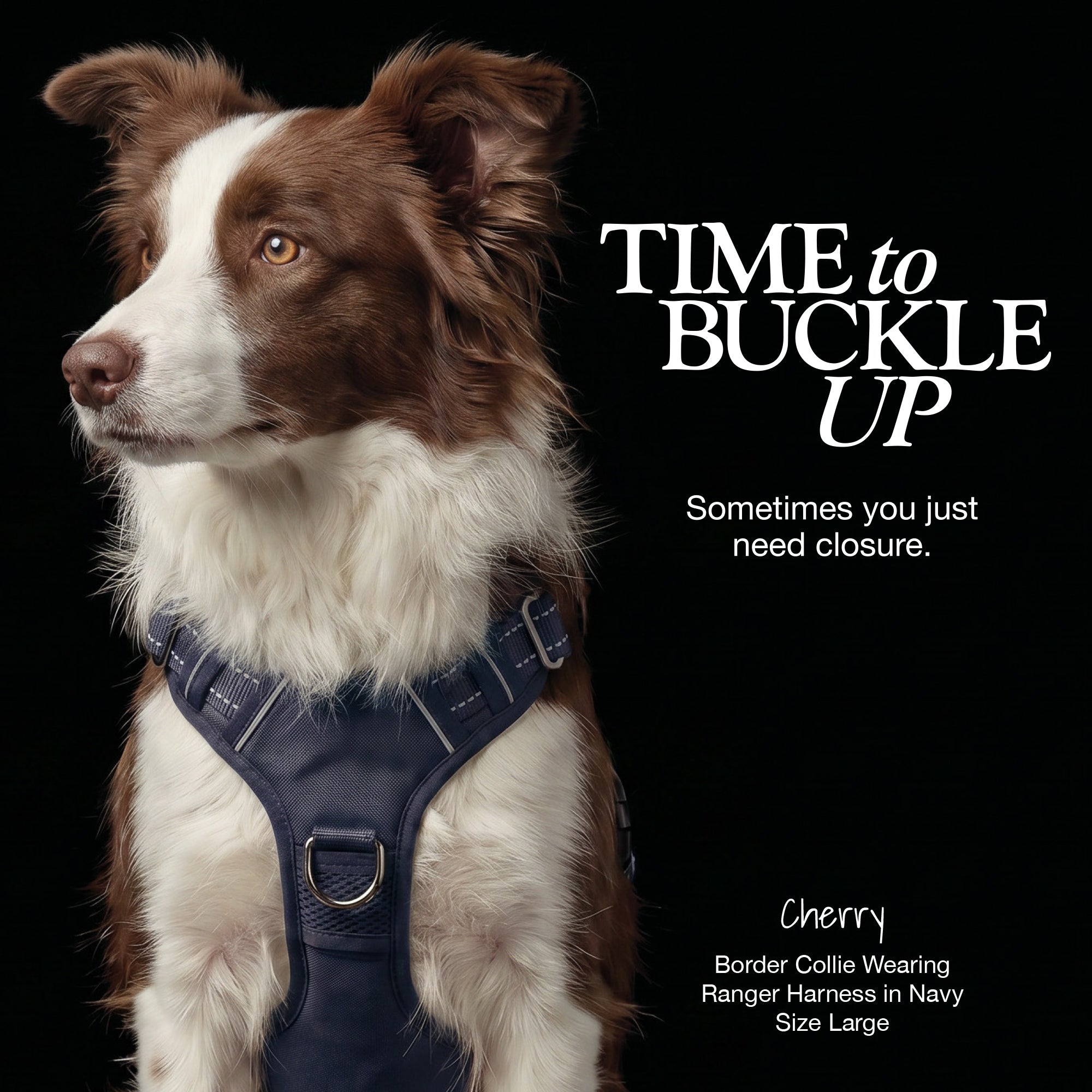 RANGER – THE PREMIUM HEAVY-DUTY REFLECTIVE HARNESS