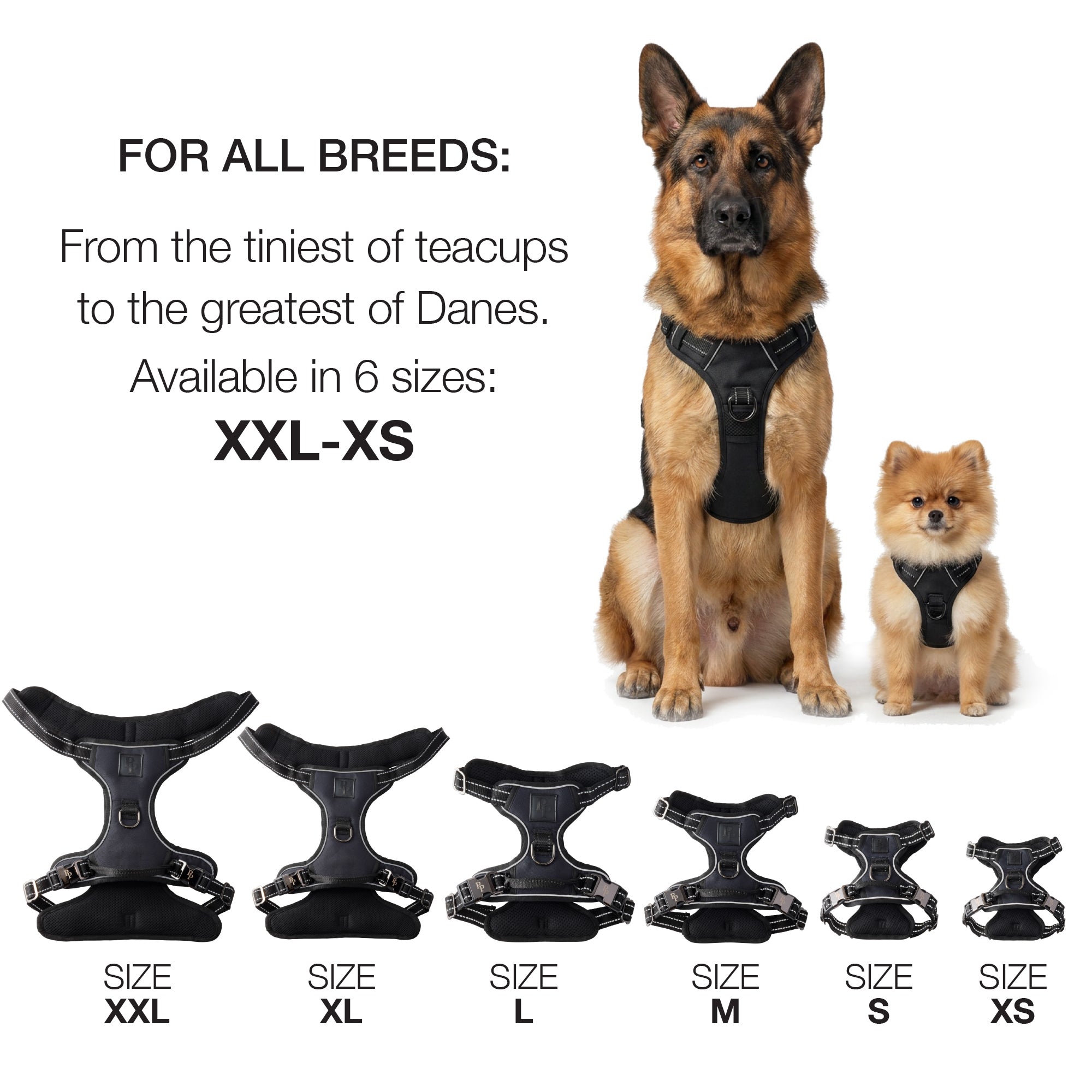RANGER – THE PREMIUM HEAVY-DUTY REFLECTIVE HARNESS