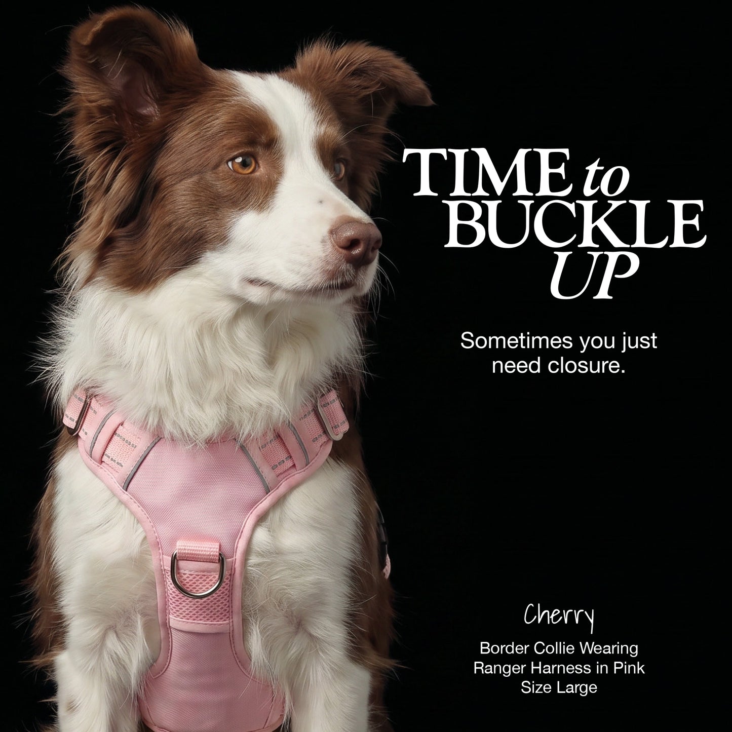 RANGER – THE PREMIUM HEAVY-DUTY REFLECTIVE HARNESS