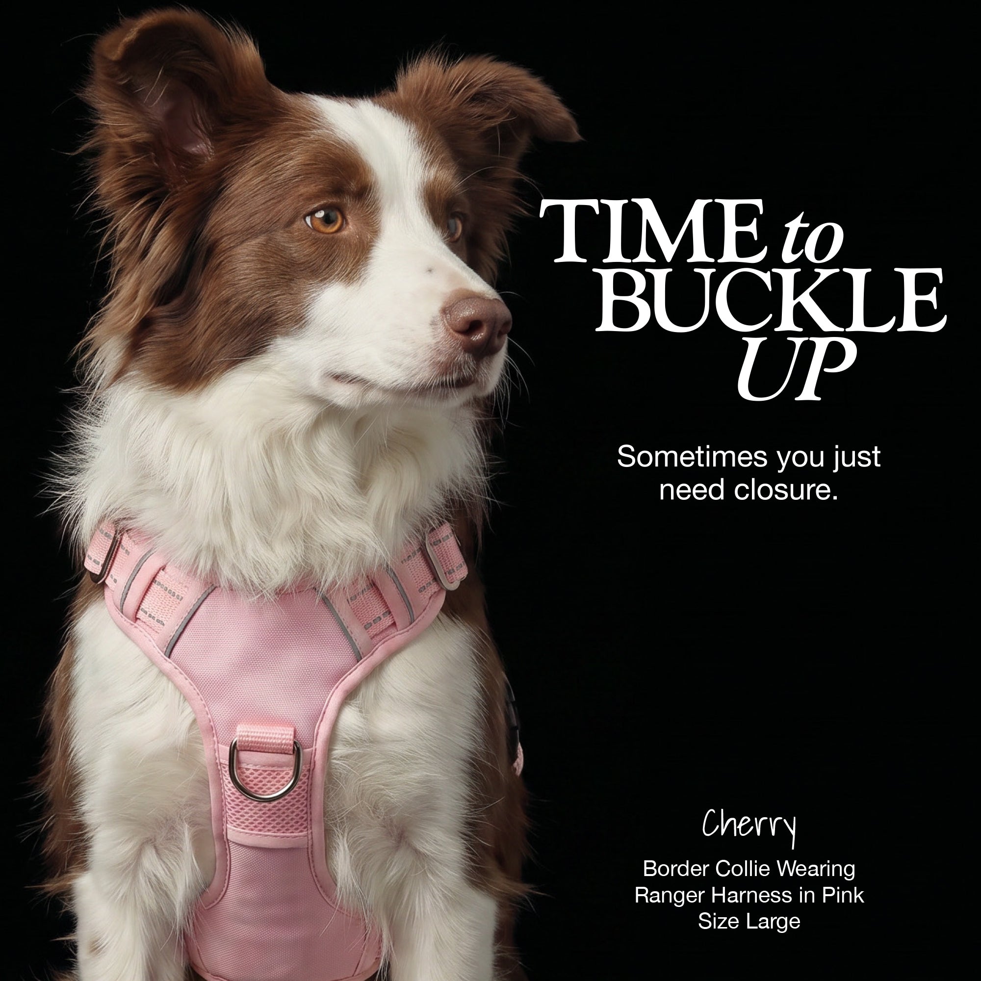 RANGER – THE PREMIUM HEAVY-DUTY REFLECTIVE HARNESS