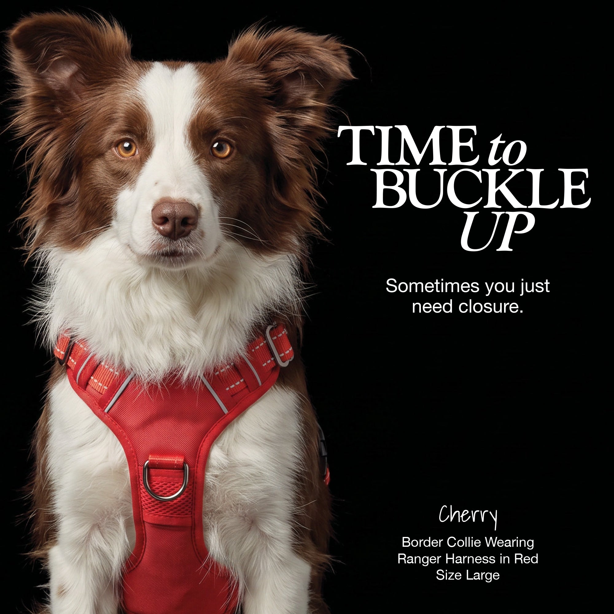 RANGER – THE PREMIUM HEAVY-DUTY REFLECTIVE HARNESS
