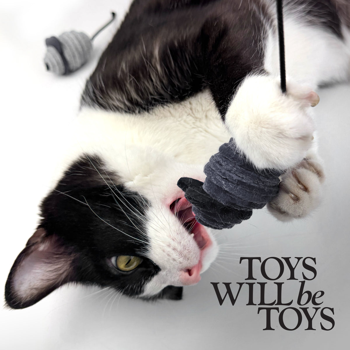 MOUSE PARTY - FELT CAT TOY