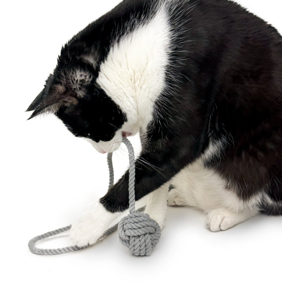 RINGO - THE BRAIDED ROPE CAT TOYS, 3 PACK