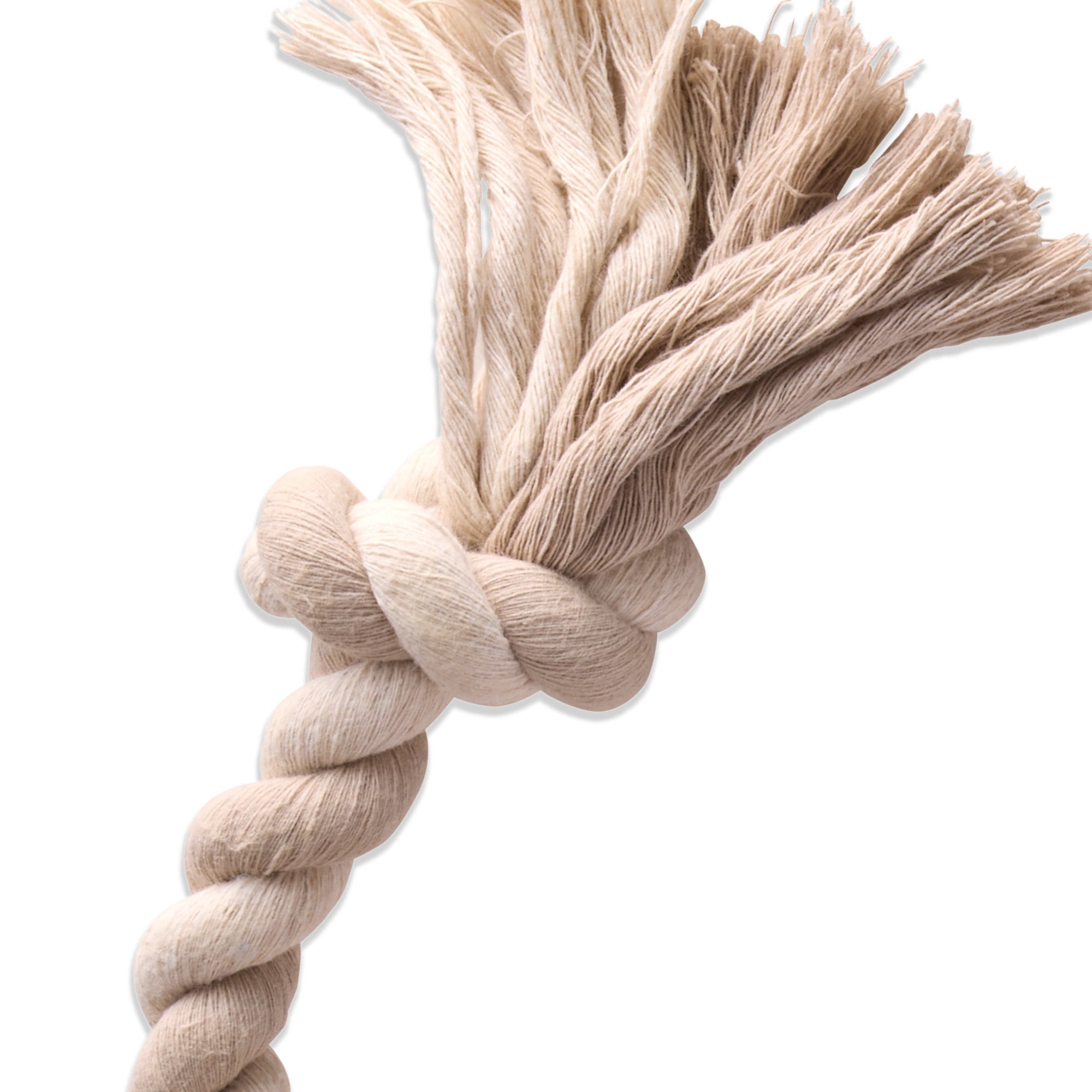 Close-up of tug toy knot rope