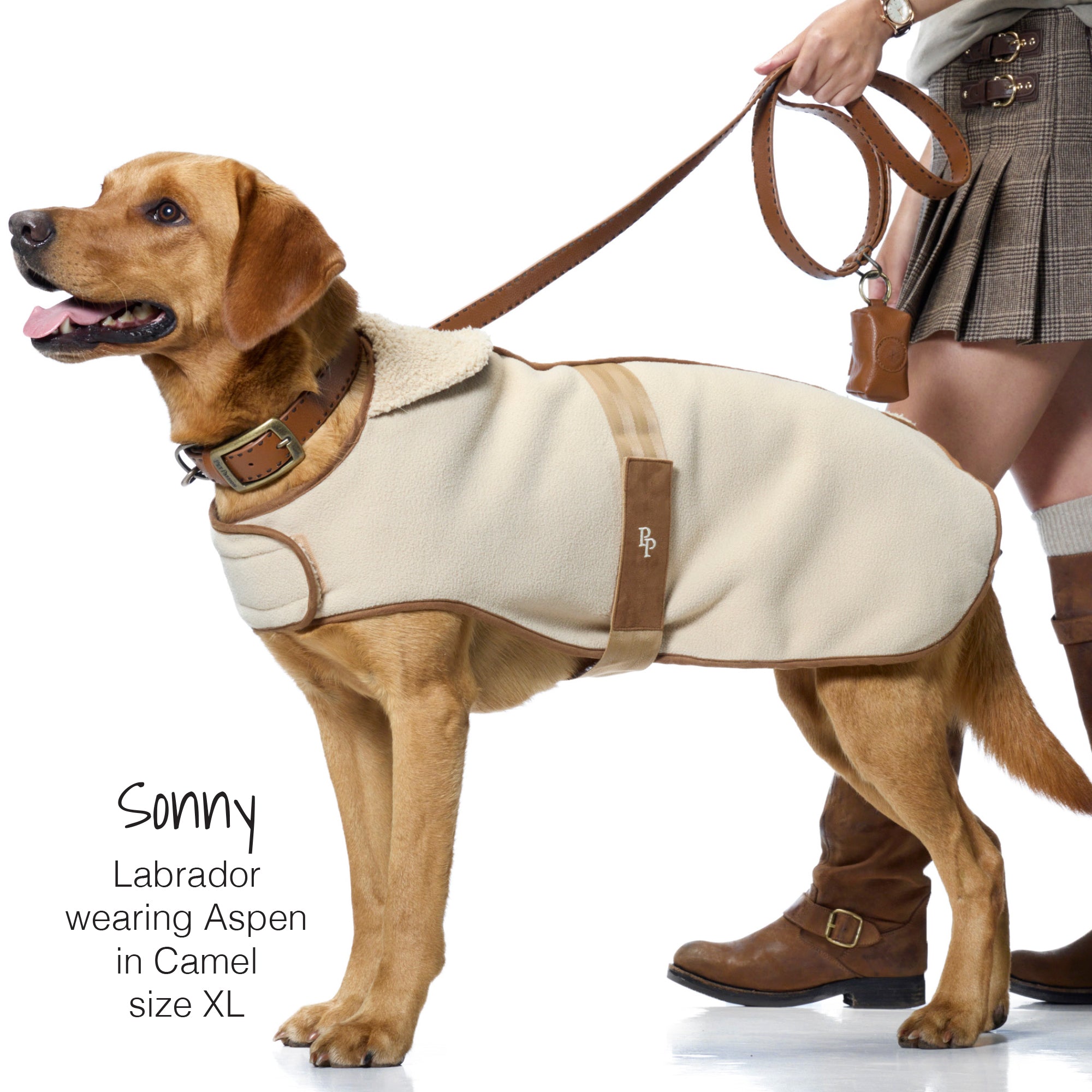 Dog wearing a beige coat with a person holding a leash on a white background