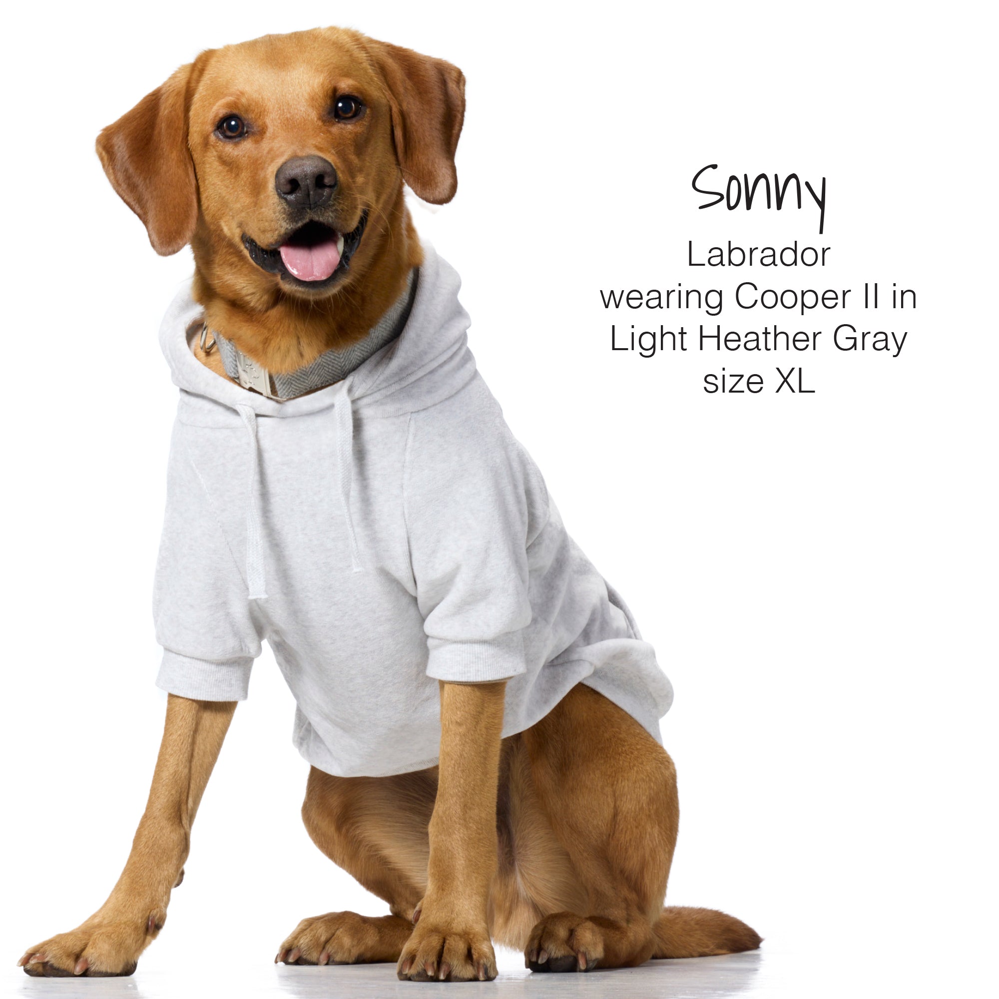 COOPER II - THE COZY VELOUR HOODIE