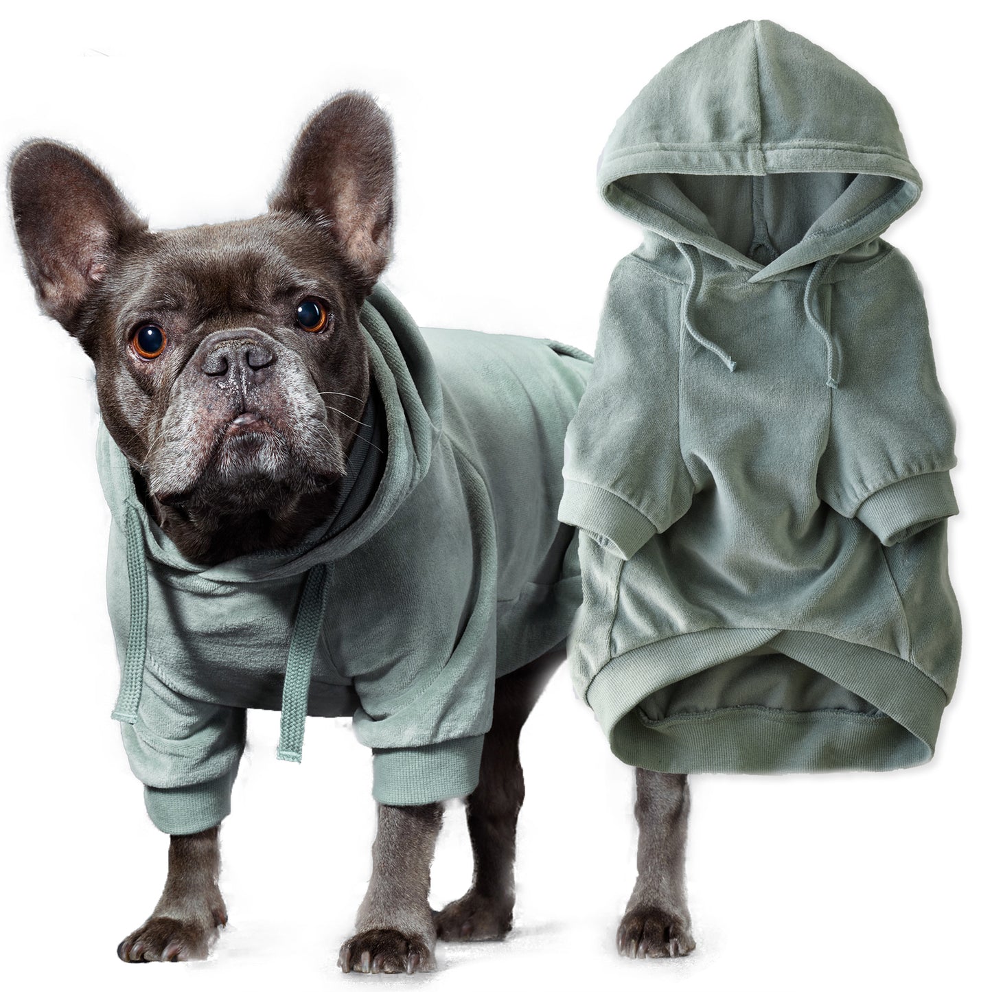 COOPER II - THE COZY VELOUR HOODIE, SAGE