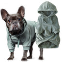 COOPER II - THE COZY VELOUR HOODIE, SAGE