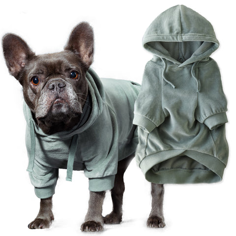 COOPER II - THE COZY VELOUR HOODIE, SAGE