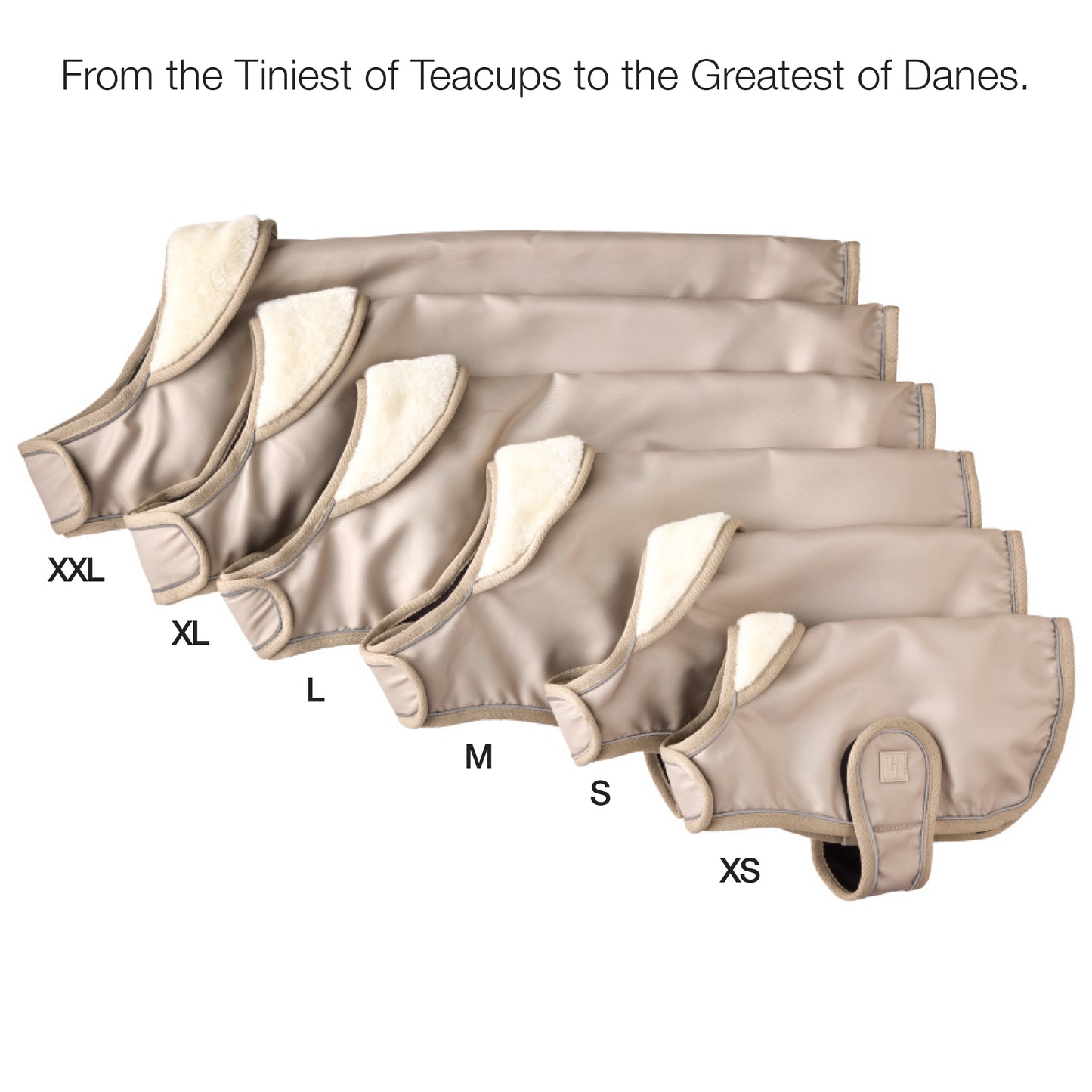 Pet passion size guide for XXL-XS dog coats
