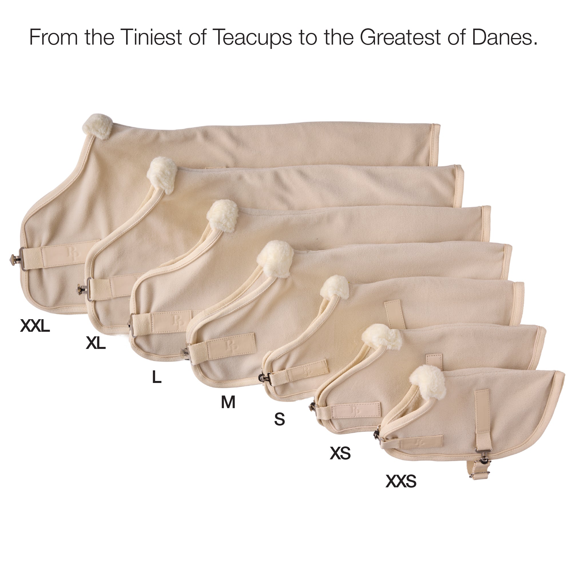 Pet passion size guide for XXL-XXS dog coats