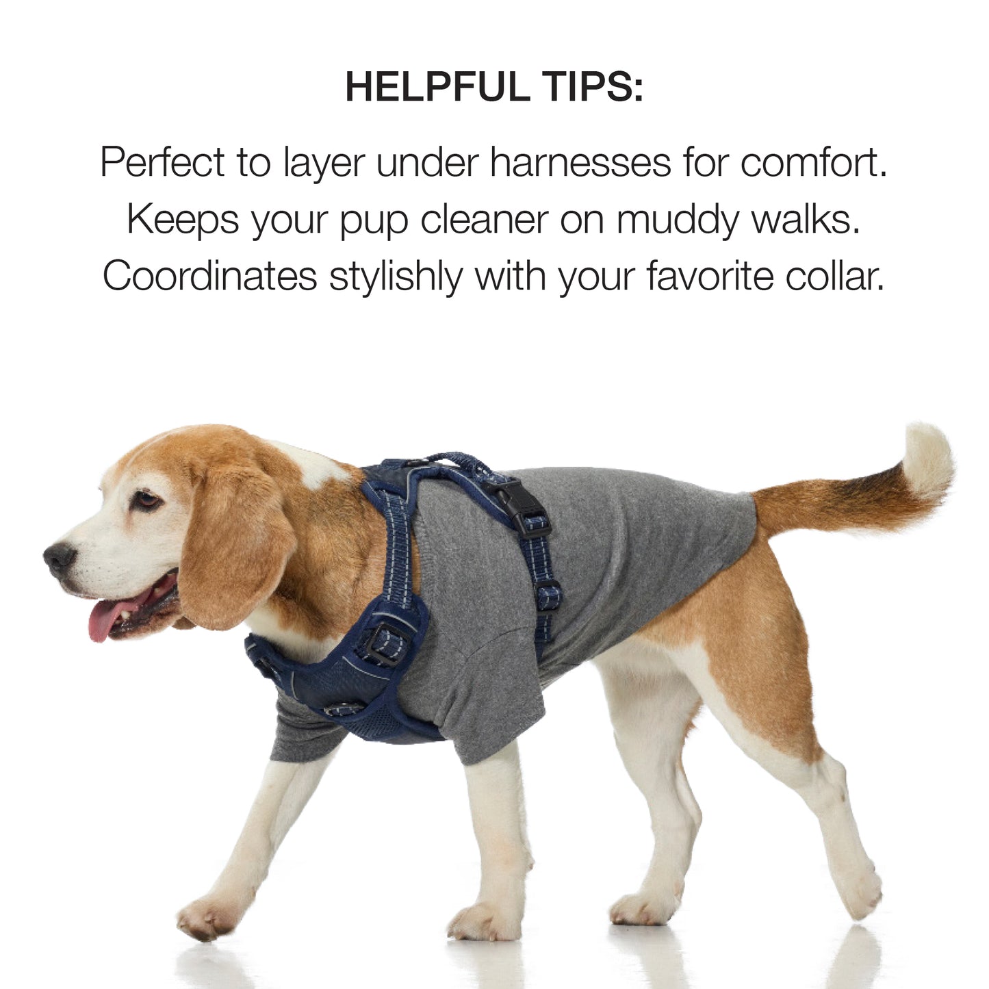 Dog wearing a gray shirt and blue harness with text about its benefits on a white background