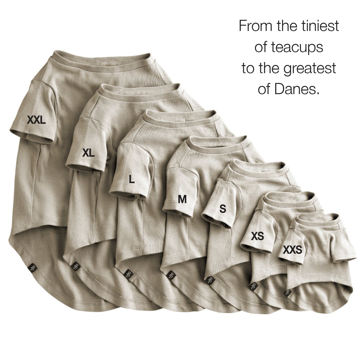 Beige t-shirts of various sizes with size labels on a white background