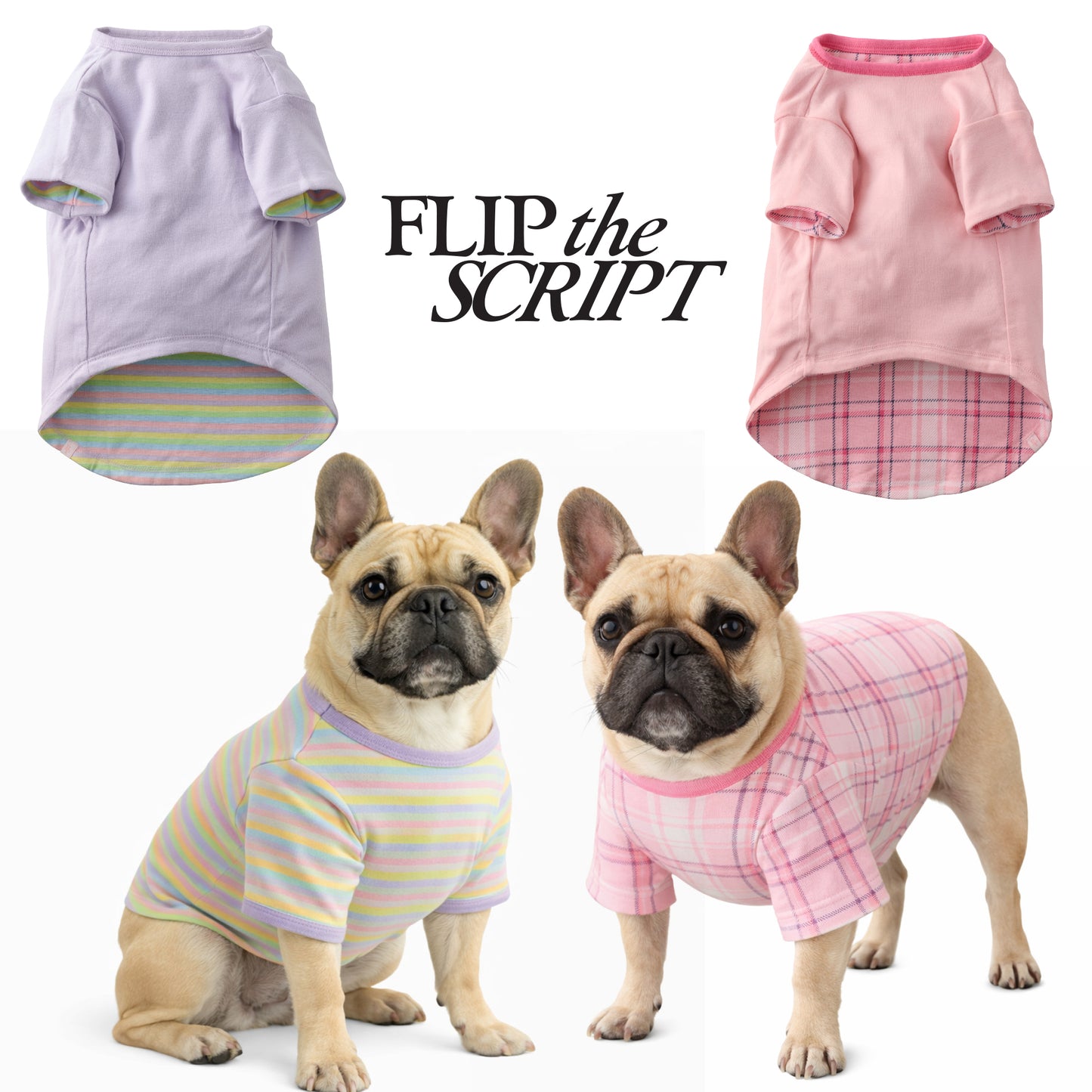 Two dogs wearing colorful pet clothing with 'FLIP the SCRIPT' text above.