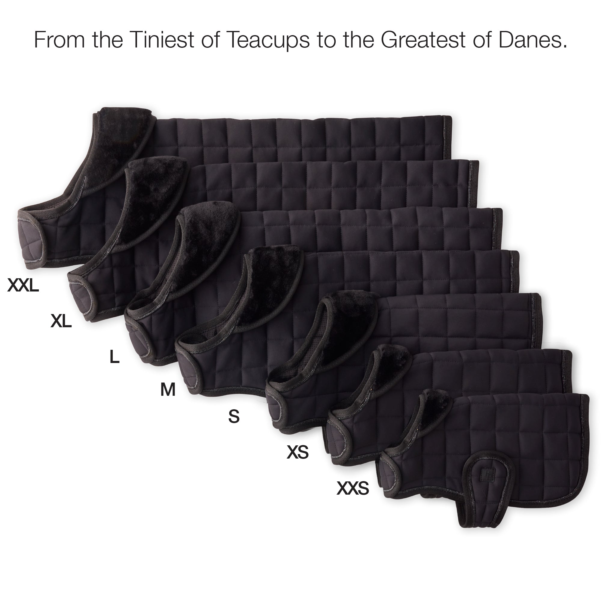 Set of black dog muzzles in various sizes on a white background with text.