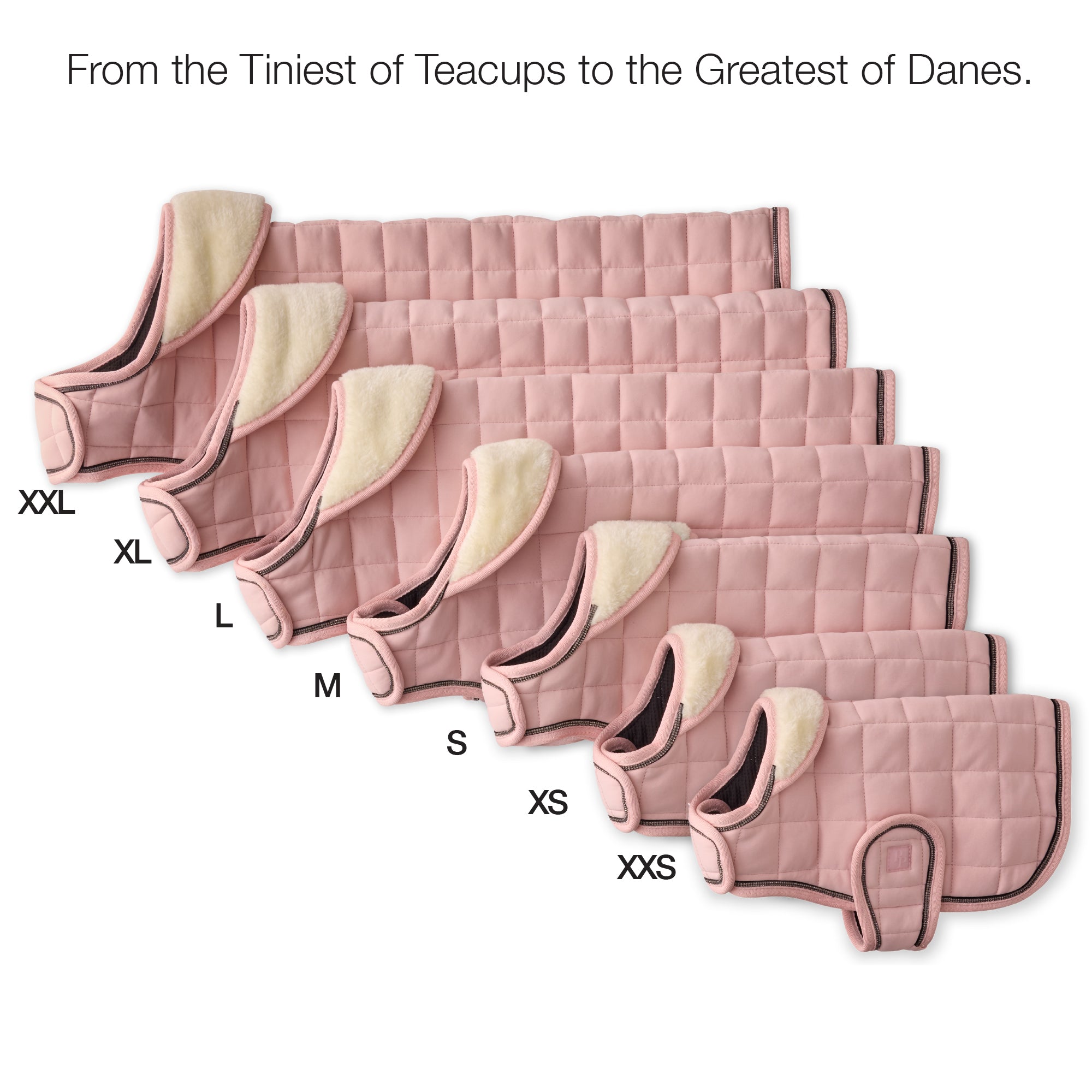 Set of pink dog muzzles with size labels on a white background