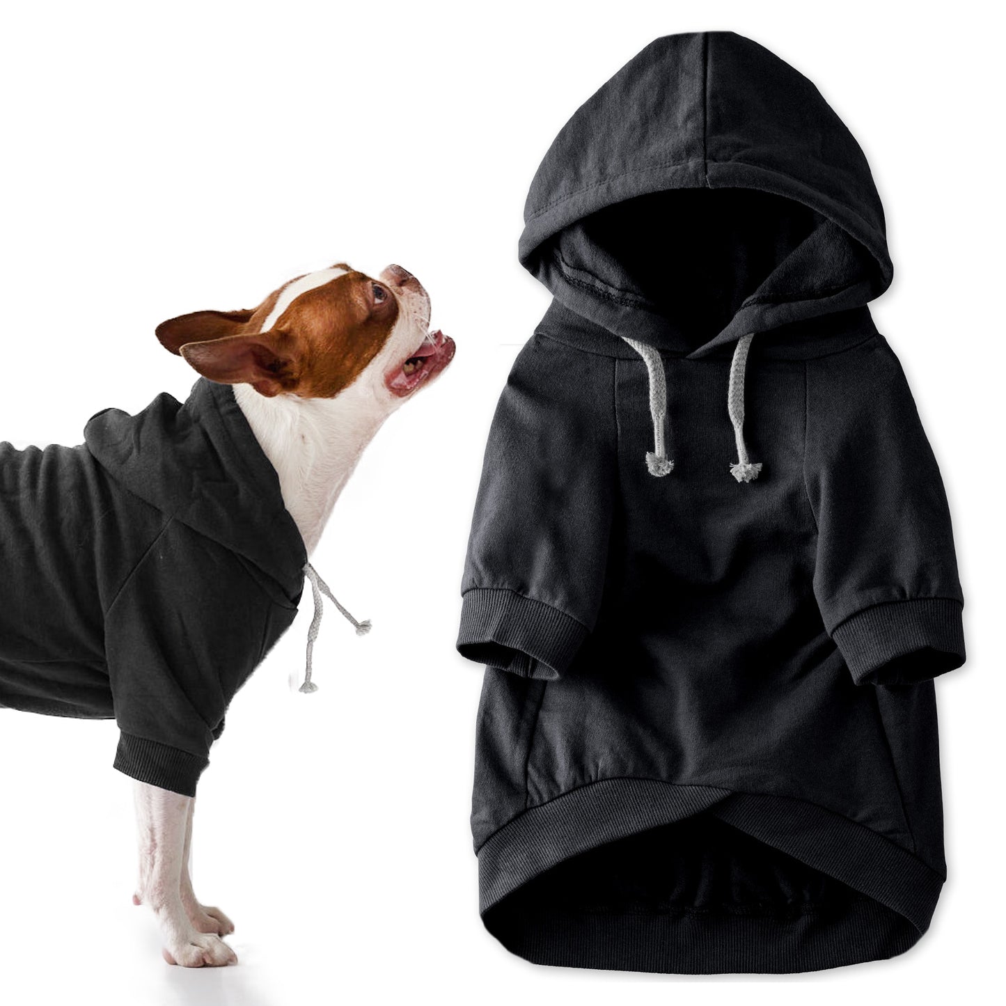 Dog in black hoodie on the left, black hoodie displayed on the right