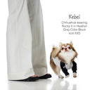 Small dog wearing a gray and black hoodie standing next to a person's legs on a white background.