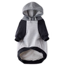 Gray and black dog hoodie on a white background