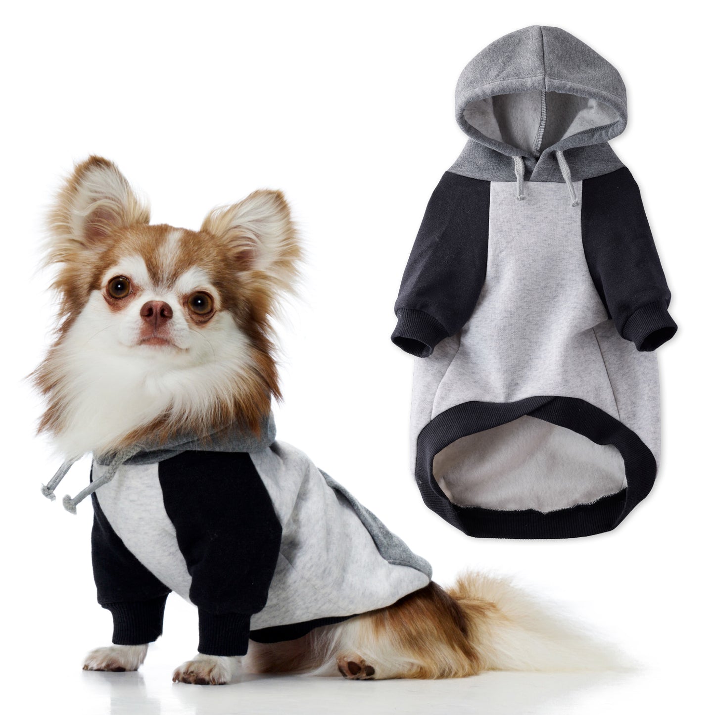 Dog wearing a gray and black hoodie with a separate hoodie shown on a white background