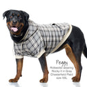 Dog wearing a gray plaid coat on a white background
