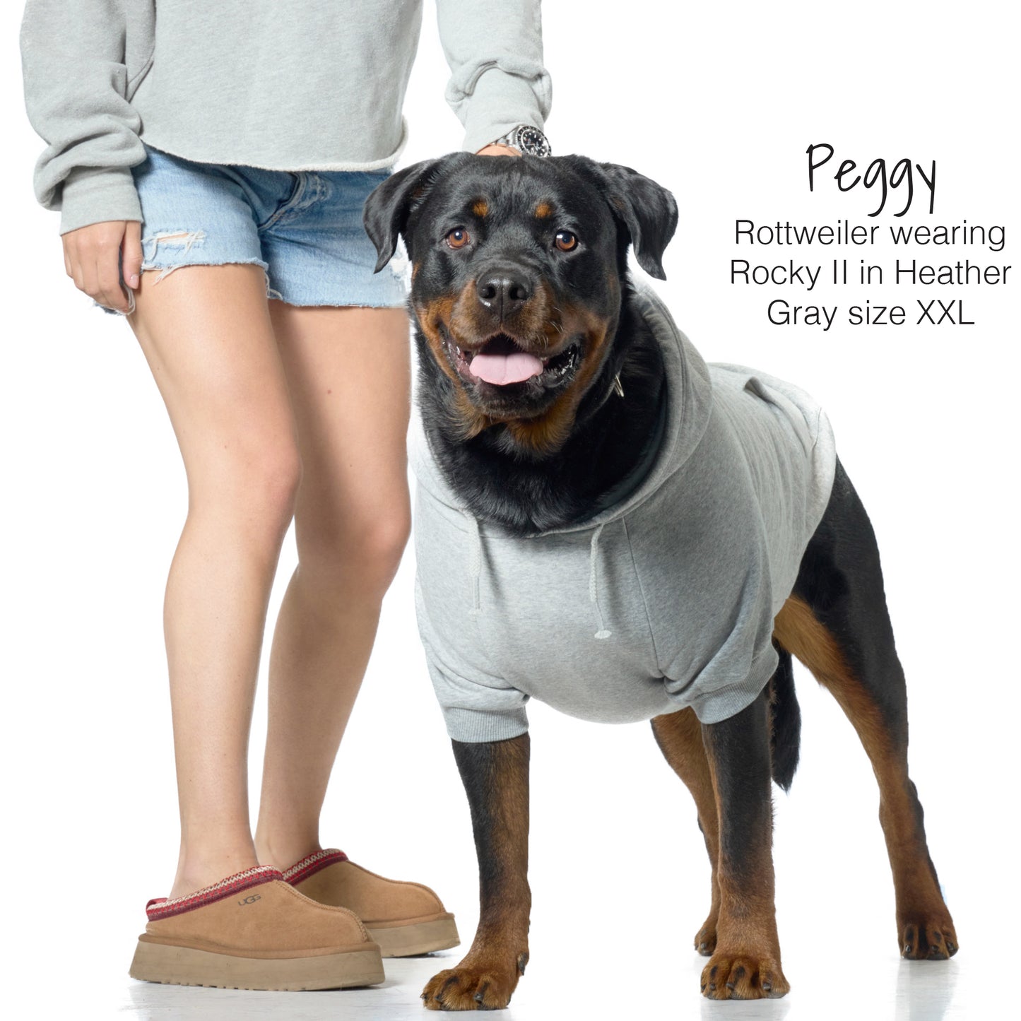 Dog wearing a gray hoodie with a person standing next to it on a white background