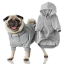 Pug wearing a gray hoodie with an additional hoodie on a white background