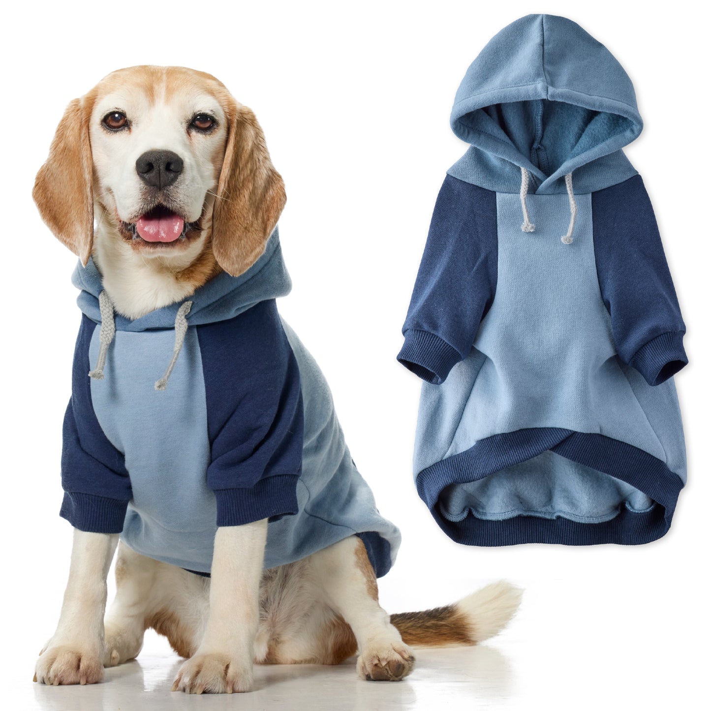 Dog wearing a blue and navy hoodie with a separate hoodie shown on a white background
