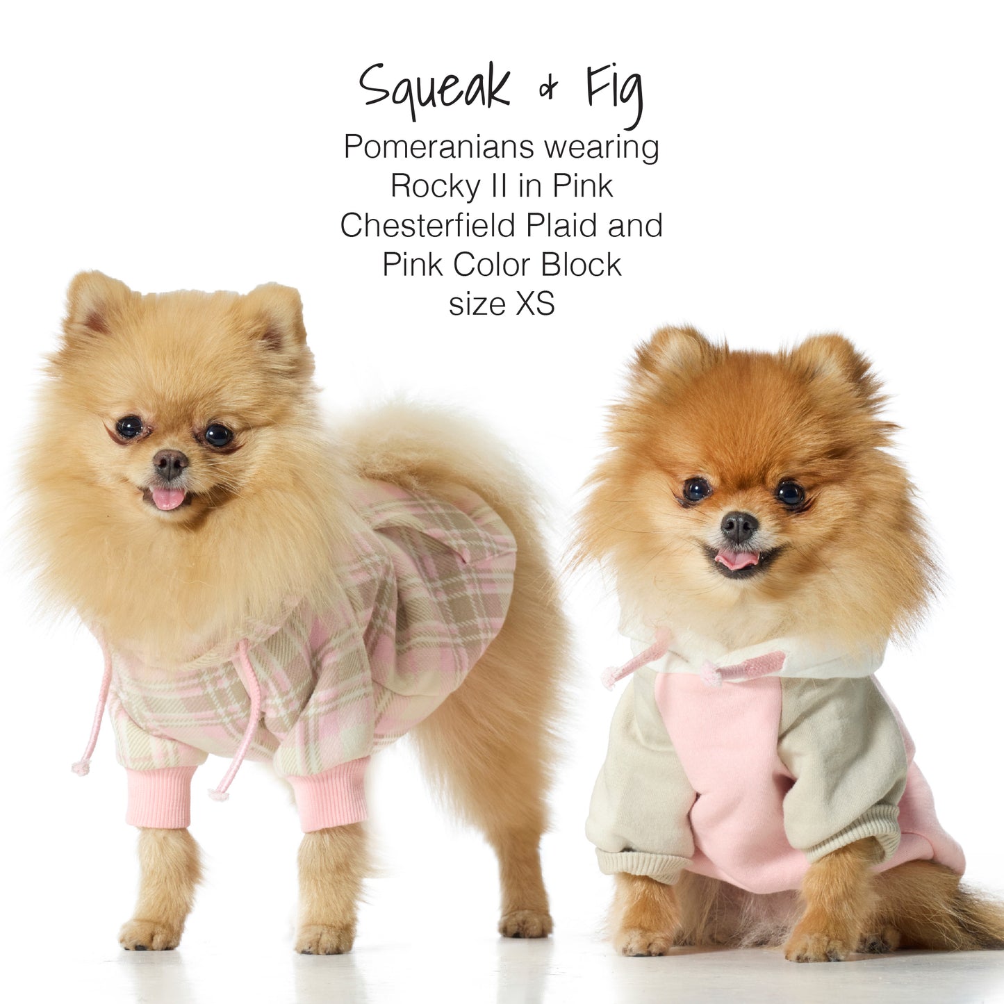 Two Pomeranians wearing pink and plaid outfits on a white background