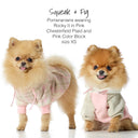Two Pomeranians wearing pink and plaid outfits on a white background