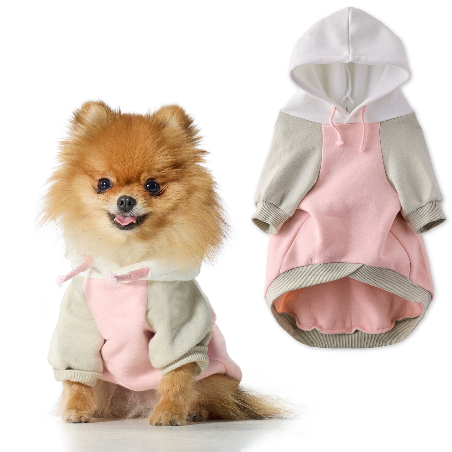 Small dog wearing a pink and gray hoodie with a matching outfit on a white background