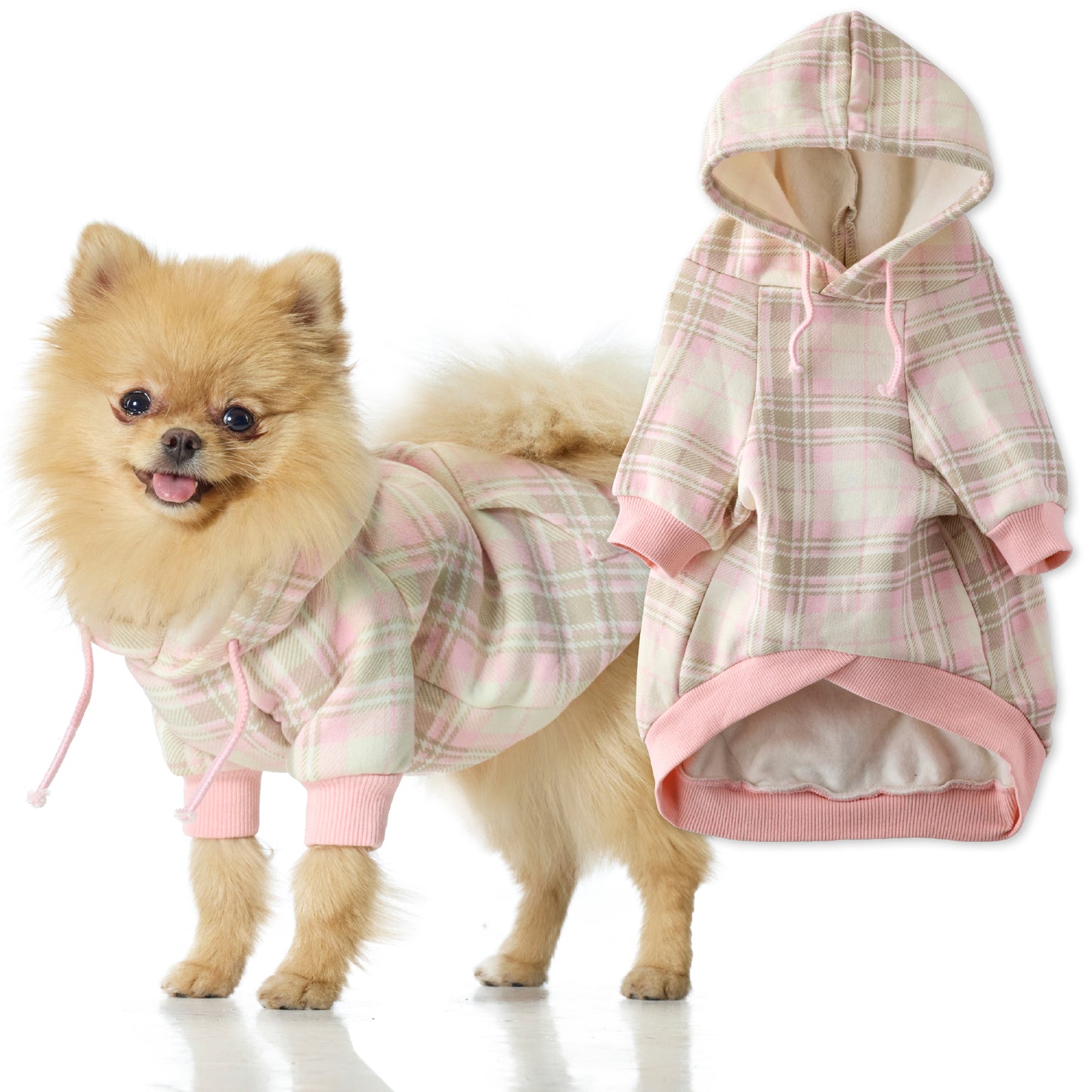 Small dog wearing a pink and white plaid hoodie with another similar hoodie on a white background.