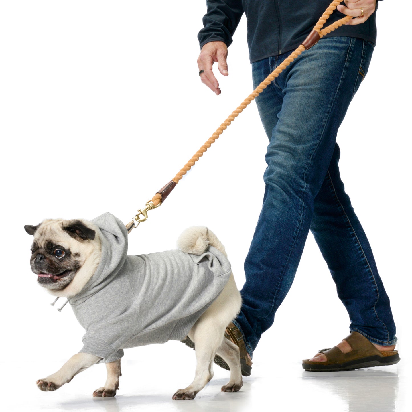 Pug in a gray hoodie being walked by a person on a white background