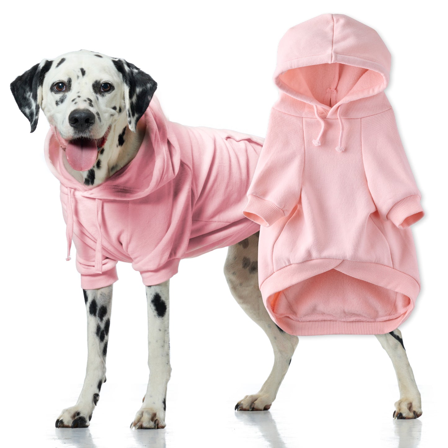 Dog wearing a pink hoodie with another pink hoodie on a white background